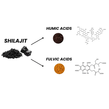 Elunara™ Shilajit Ashwagandha Gummies