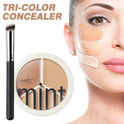 3 Color Concealer Foundation